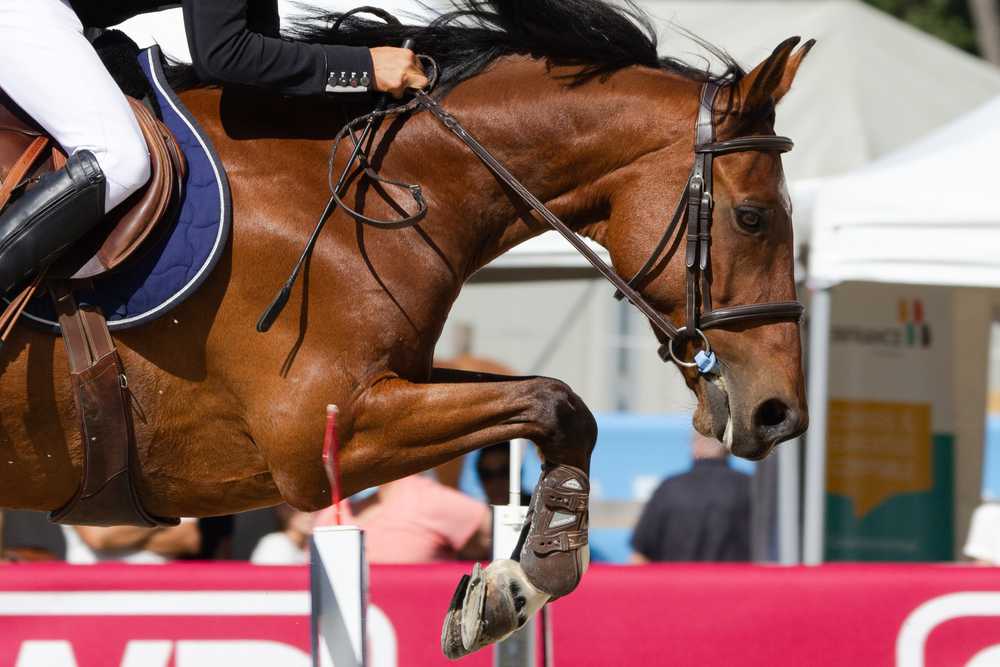 Ein Erinnerungsdiamant als Trophäe für ein gewonnenes Pferdeturnier - Springturnier, Westernreiten oder Pferderennen.
