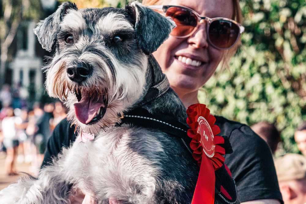Eine personalisierte Diamant-Trophäe zum Hundeturnier oder der Hundeausstellung aus Fell und der Trophäe.