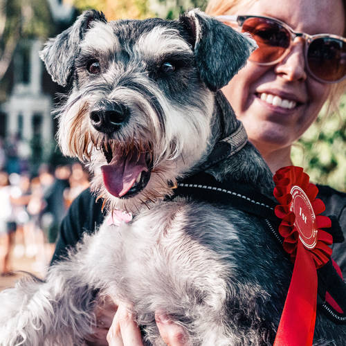 Eine personalisierte Diamant-Trophäe zum Hundeturnier oder der Hundeausstellung.