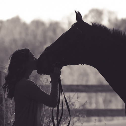 Eine Diamant-Trophäe als gemeinsames Andenken für dich und dein geliebtes Pferd.